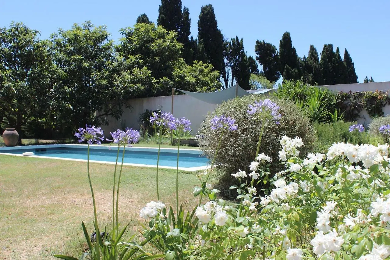 B&B Mas De Caustes Saint-Remy-de-Provence Bed & Breakfast