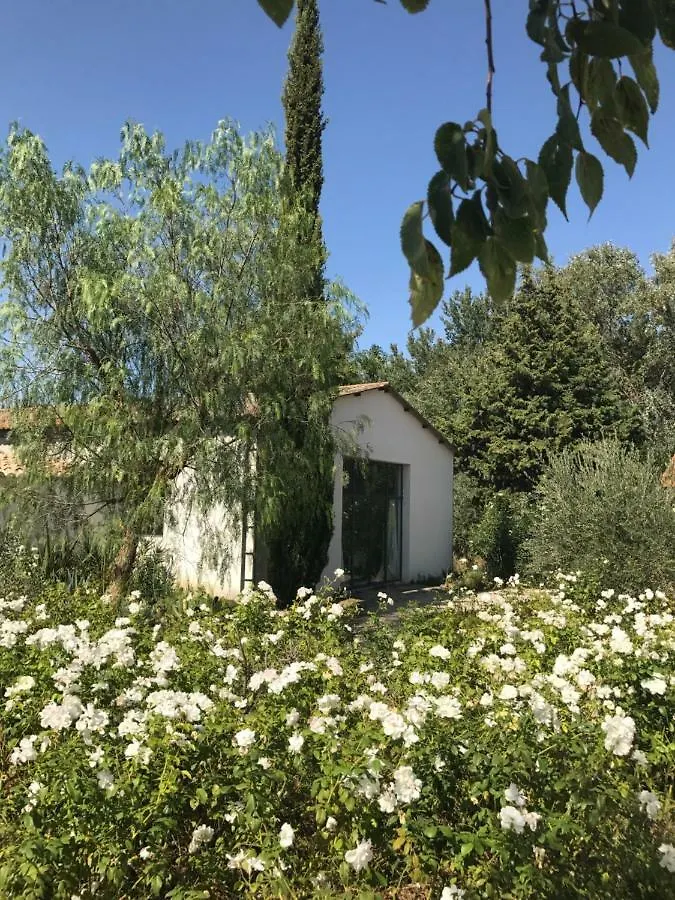 B&B Mas De Caustes Saint-Remy-de-Provence Bed & Breakfast