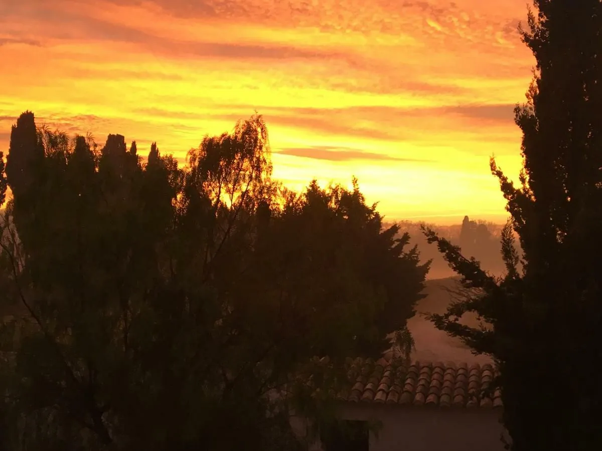 B&B Mas De Caustes Saint-Remy-de-Provence Bed & Breakfast