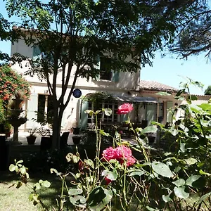 Du Saint-Remy-de-Provence