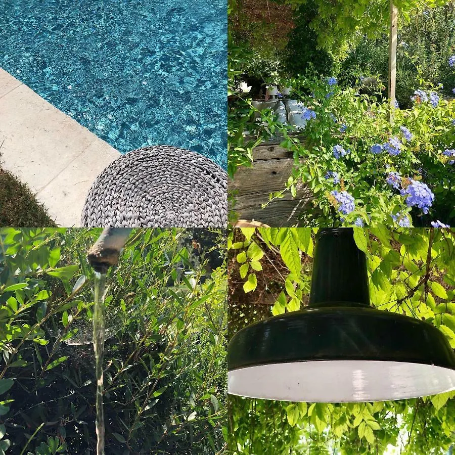 B&B Mas De Caustes Saint-Remy-de-Provence