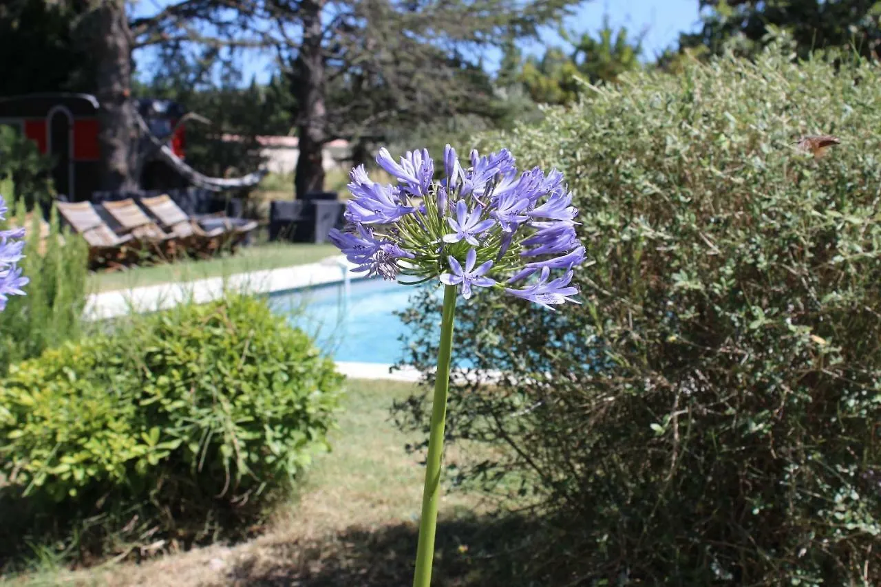 Bed & Breakfast B&B Mas De Caustes Saint-Remy-de-Provence